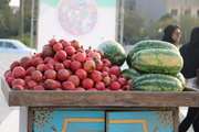 گزارش تصویری دومین روز جشنواره میوه و غذای قومس در دانشگاه سمنان 